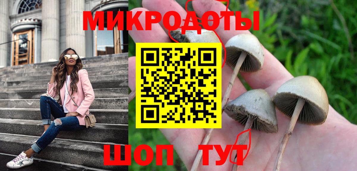 Псилоцибиновые грибы Magic Shrooms Россошь