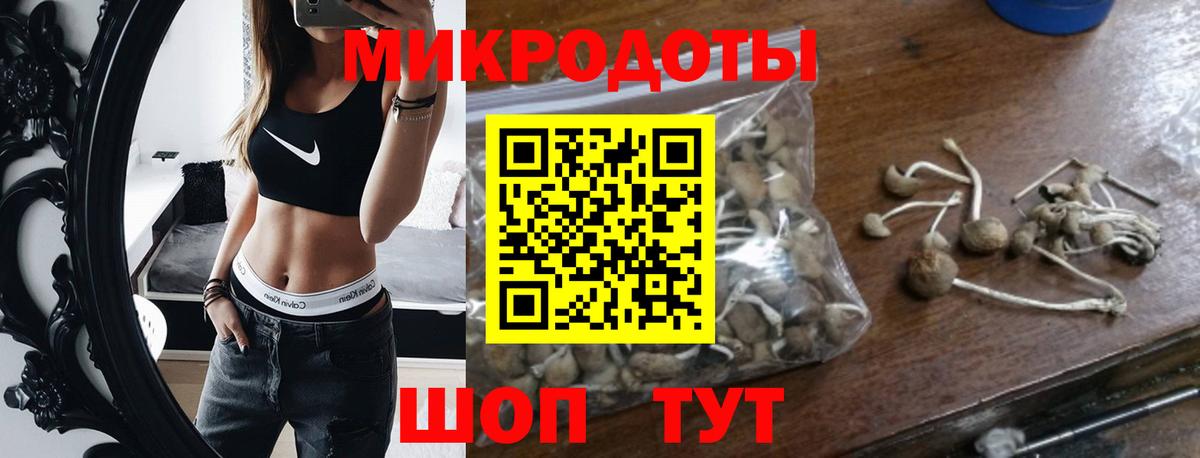 Россошь  Псилоцибиновые грибы мицелий  Вход с VPN  Галлюциногенные грибы Magic Shrooms 
